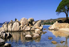 墨西哥对阵波兰，这场世界杯小组赛比分会如何？